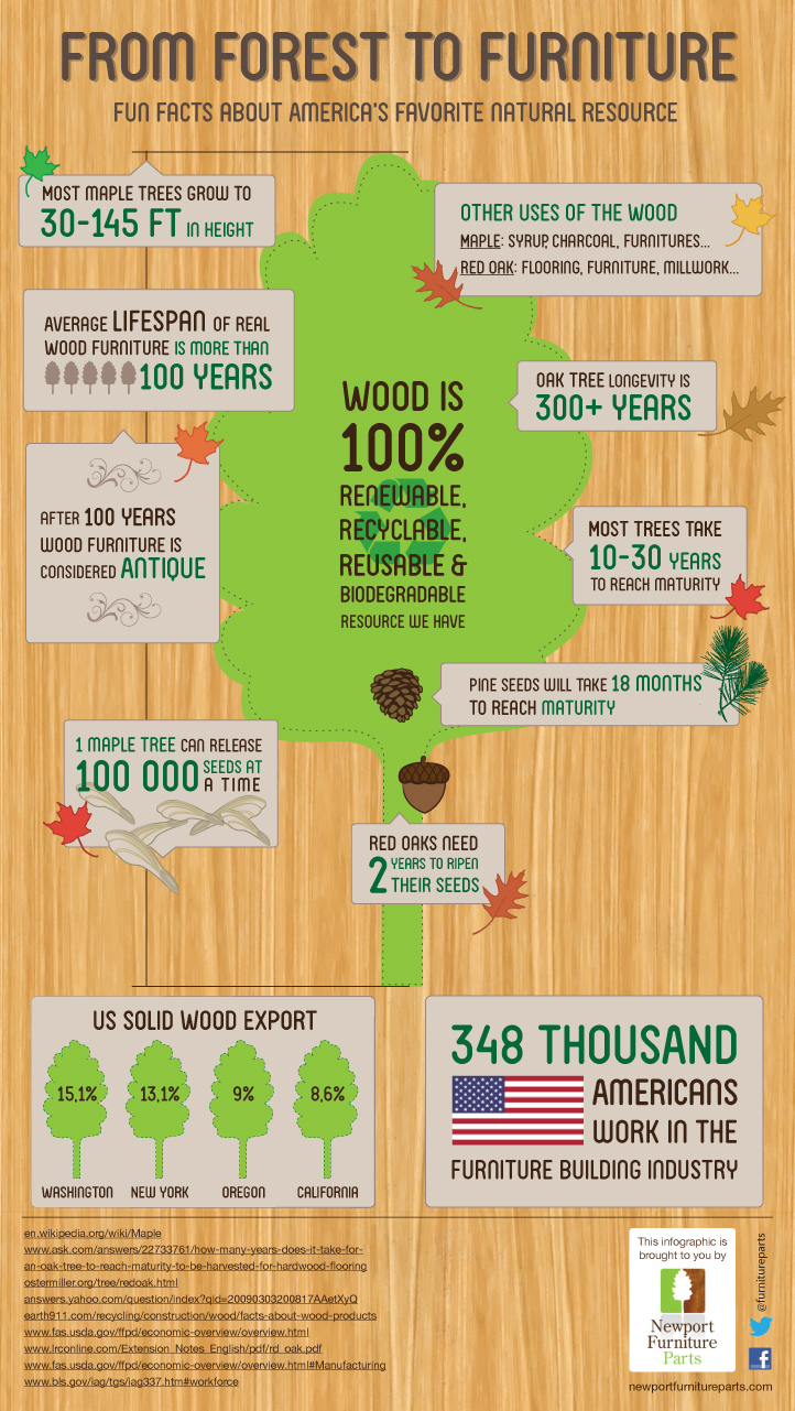 From Forest To Furniture Infographic